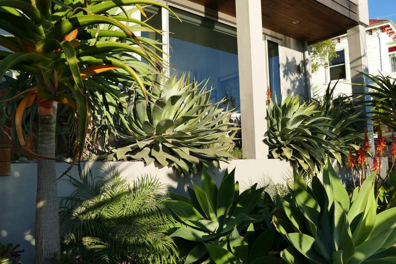 Waterfront Bliss Hotel Nelson Exterior photo